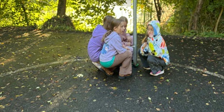 Powiększ grafikę: gra-terenowa-dziki-w-miescie-712957.jpg