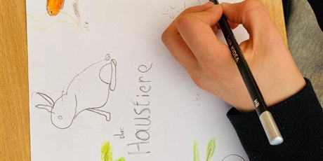 Powiększ grafikę: projekt-liczby-rodzina-zwierzeta-i-kolory-706944.jpg