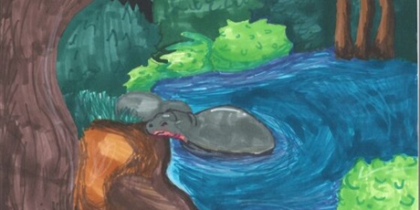 Sukces w konkursie plastycznym „To moje bagno”