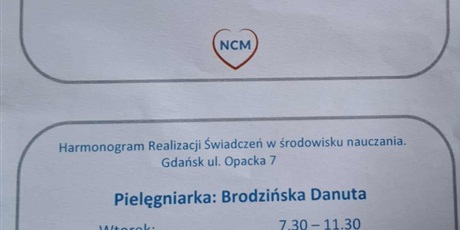 Powiększ grafikę: PIELĘGNIARKA SZKOLNA